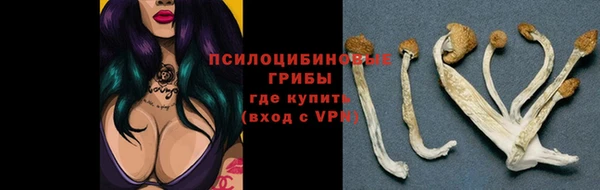 гидра Киров