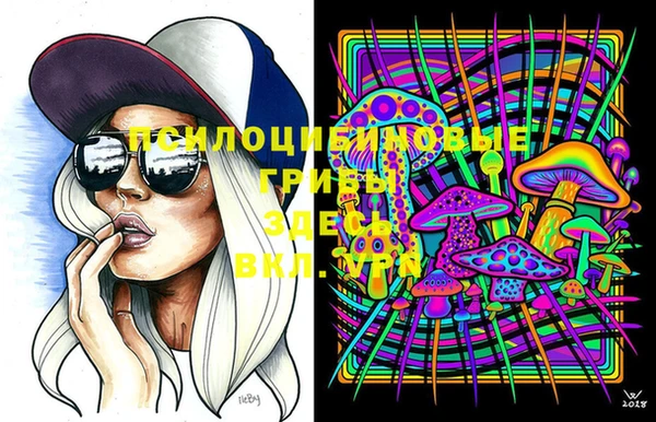 PSILOCYBIN Балашиха