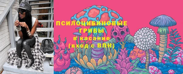 PSILOCYBIN Балашиха
