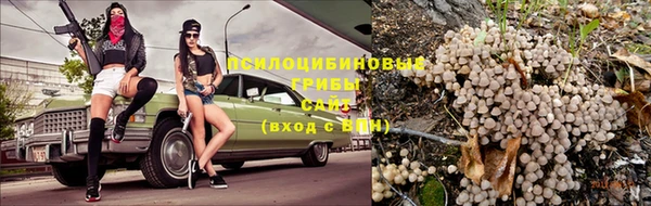 шишки Бугульма