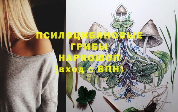 герыч Бронницы